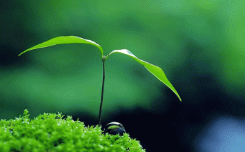Hãy kiểm soát tâm